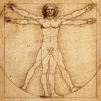 Vitruvian Man illustrating anatomical position