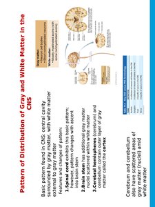 Gray and white matter distribution in CNS