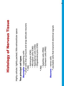 List of nervous tissue cell types