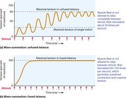 Tension production and tetanus graph
