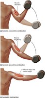 Types of muscle contractions
