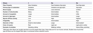 Muscle fiber type comparison table