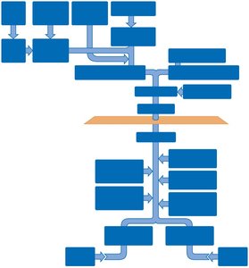 Major veins of the systemic circulation