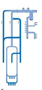 Veins of the thorax and right upper limb