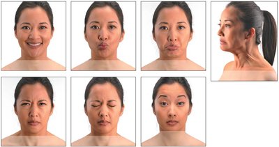 Muscles used in facial expressions