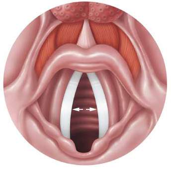 Closed vocal cords (adduction)