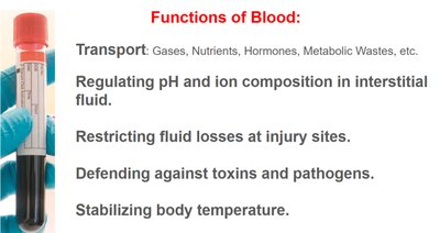 Functions of blood
