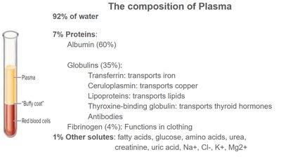 Composition of plasma