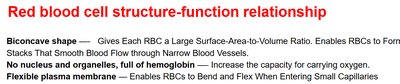 Red blood cell structure-function relationship details