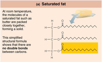 Saturated fat structure