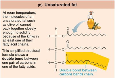 Unsaturated fat structure