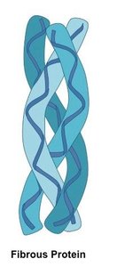 Fibrous protein