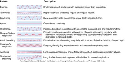 Table of respiratory patterns