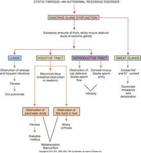 Pathophysiology of cystic fibrosis