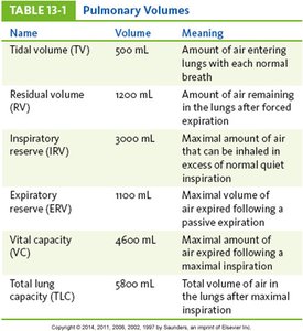 Table of pulmonary volumes