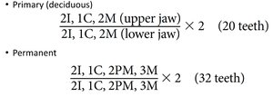 Dental formula for primary and permanent teeth