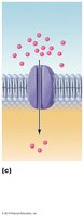 Channel-mediated facilitated diffusion