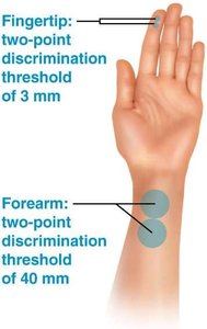 Two-point discrimination thresholds