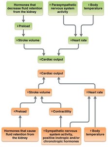 Cardiac control centers