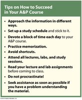 Tips for success in A&P