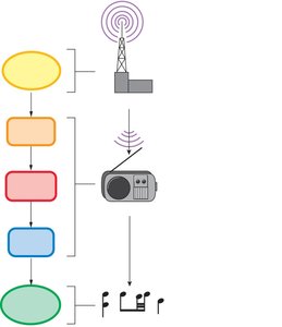 Analogy of signal transduction using a radio