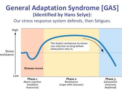 General Adaptation Syndrome stages