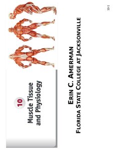 Muscle tissue and physiology cover slide