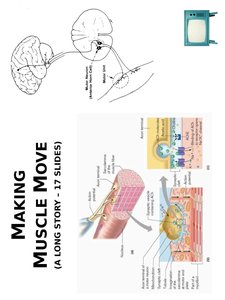 Membrane potential in cells