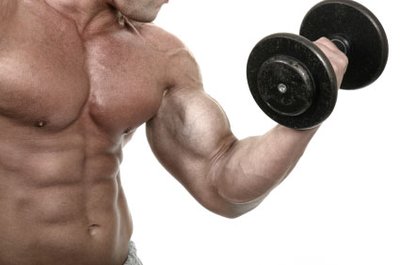 Muscle mechanics: tension and load