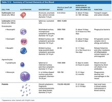 Table: Summary of formed elements of the blood