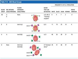 Table: ABO blood groups and compatibility