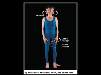 Rotation of the head, neck, and lower limb