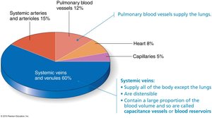Relative proportion of blood volume throughout the cardiovascular system