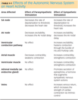 Table of ANS effects on heart activity