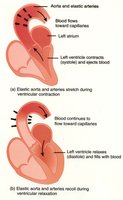 Diagram of elastic artery function during systole and diastole
