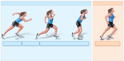 Comparison of energy sources during exercise