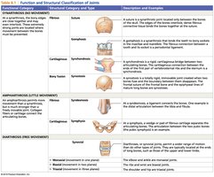 Function and Structural Classification of Joints table