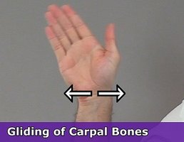 Gliding of carpal bones