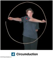 Circumduction movement