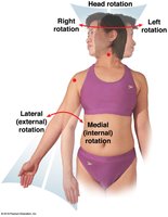 Rotational movements of head and limbs