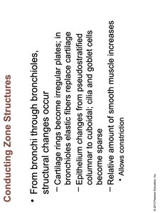 Respiratory zone structures