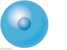 Diagram of an atom showing nucleus and electron cloud