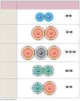 Covalent bonds in common molecules