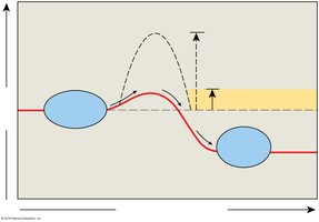 Enzymes lower activation energy in chemical reactions