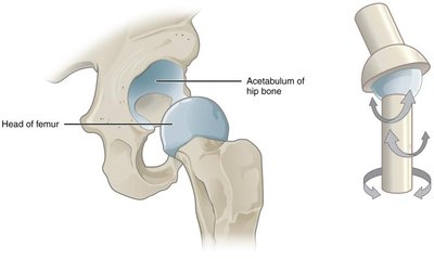 Triaxial joint example