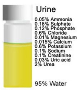 Urine composition