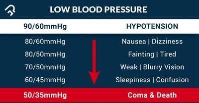 ADH and aldosterone regulation