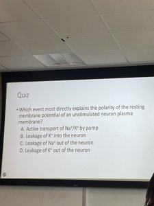 Action potential propagation along axon
