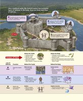 Overview of the immune system as a castle with three lines of defense