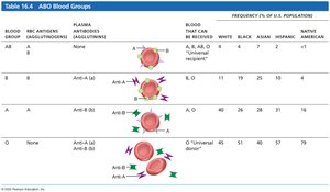 Table of ABO blood groups and their properties